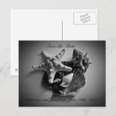 Muscheln Save the Date Postkarte (Vorne/Hinten)