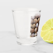 Muscheln Schnapsglas (Links)
