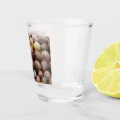 Muscheln Schnapsglas (Rechts)