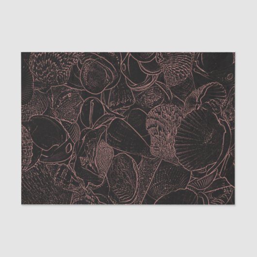 Muscheln Schwarzes Meer Seidenpapier (Vorderseite)