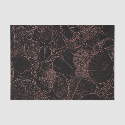 Muscheln Schwarzes Meer Seidenpapier (Vorderseite)