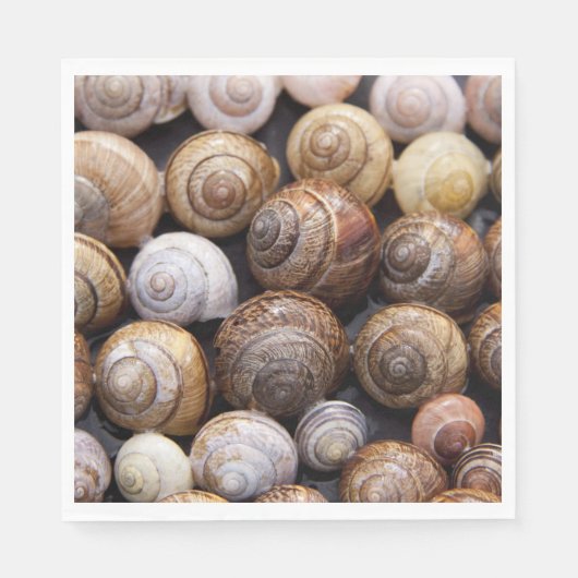 Muscheln Serviette (Vorderseite)