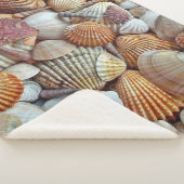 Muscheln Sherpadecke (3/4)