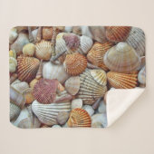 Muscheln Sherpadecke (Vorderseite (Horizontal))
