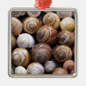 Muscheln Silbernes Ornament (Vorne)