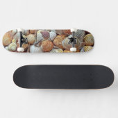 Muscheln Skateboard (Horizontal)