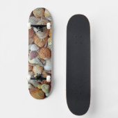 Muscheln Skateboard (Vorderseite)