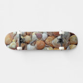Muscheln Skateboard (Horizontal)