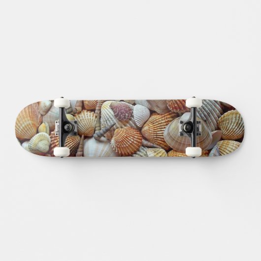 Muscheln Skateboard (Horizontal)