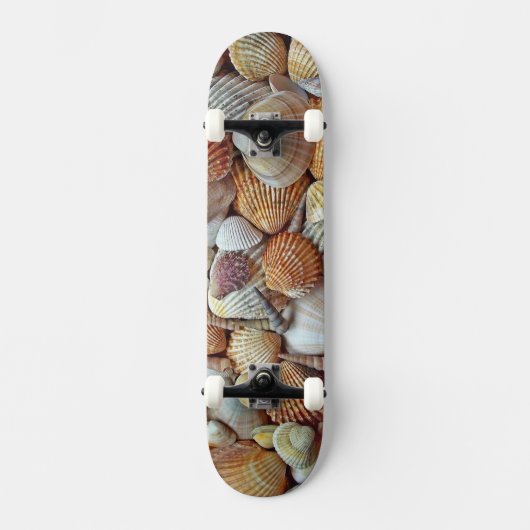 Muscheln Skateboard (Vorderseite)