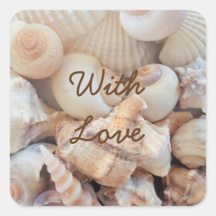 Muscheln, Sommer Beach Exotik tropische Romantik Quadratischer Aufkleber