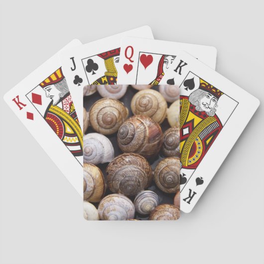 Muscheln Spielkarten (Rückseite)