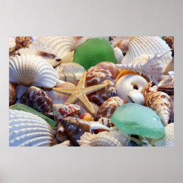 Muscheln, Starfish & Beach Glass Poster
