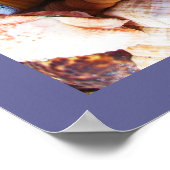 Muscheln Starfish Farbige Muschel Poster (Ecke)