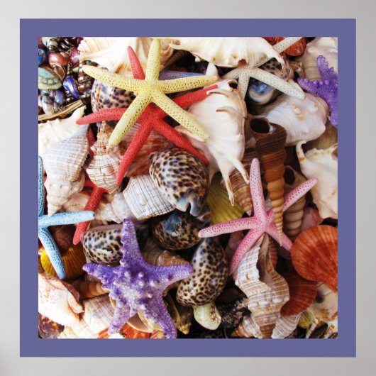 Muscheln Starfish Farbige Muschel Poster (Vorne)