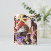 Muscheln Starfish Farbige Muschel Postkarte (Stehend Vorderseite)