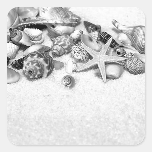Muscheln & Starfish Stickers (Vorderseite)