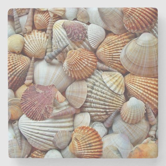 Muscheln Steinuntersetzer (Vorderseite)