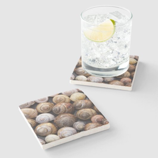 Muscheln Steinuntersetzer (Seitenansicht)