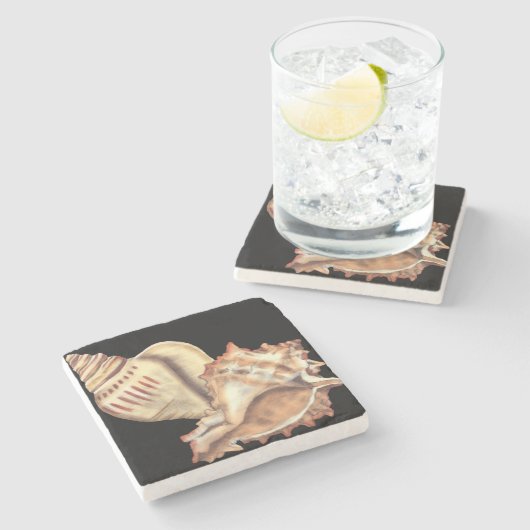 Muscheln Steinuntersetzer (Seitenansicht)