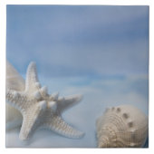 Muscheln-Stern-Fischehandgemalter blauer Fliese (Vorderseite)