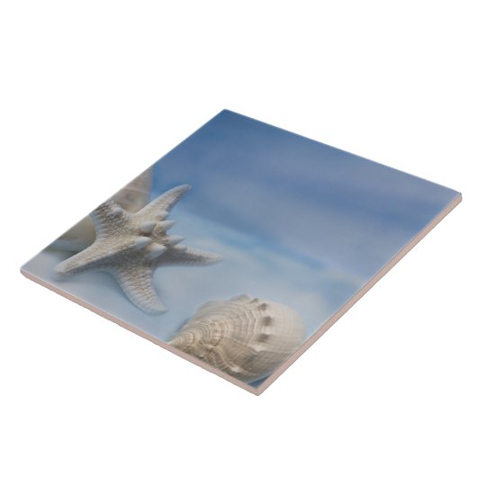 Muscheln-Stern-Fischehandgemalter blauer Fliese (Seite)