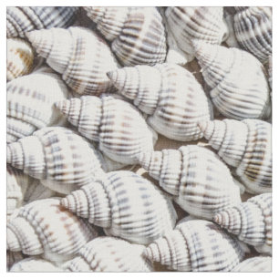 Muscheln Stoff
