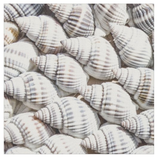 Muscheln Stoff (Nahaufnahme)