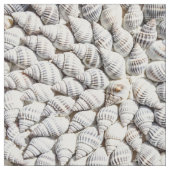 Muscheln Stoff (Muster)