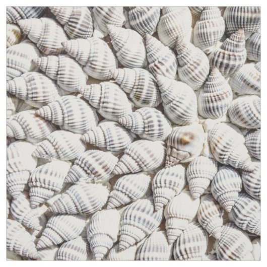 Muscheln Stoff (Muster)