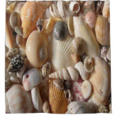 Muscheln Strand Duschvorhang (Vorderseite)