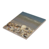 Muscheln, Strand, Wasser, Sand, Meer, Meer, Foto, Fliese (Seite)