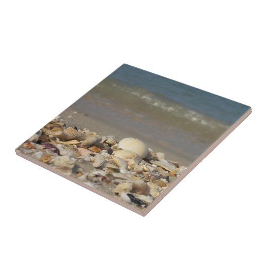 Muscheln, Strand, Wasser, Sand, Meer, Meer, Foto, Fliese (Seite)