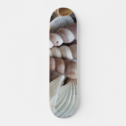 Muscheln Summer Beach Exotic Tropical Skateboard (Vorne)