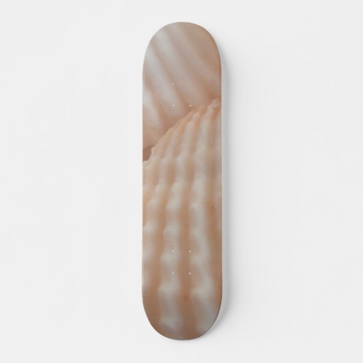 Muscheln Summer Beach Exotic Tropical Skateboard (Vorne)