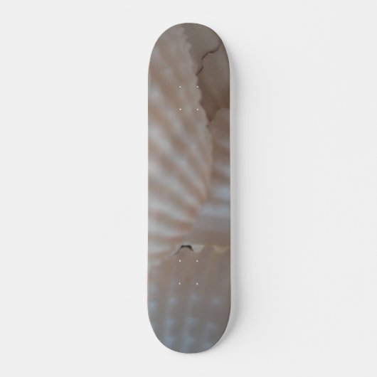 Muscheln Summer Beach Exotic Tropical Skateboard (Vorne)