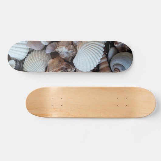 Muscheln Summer Beach Exotic Tropical Skateboard (Horizontal)