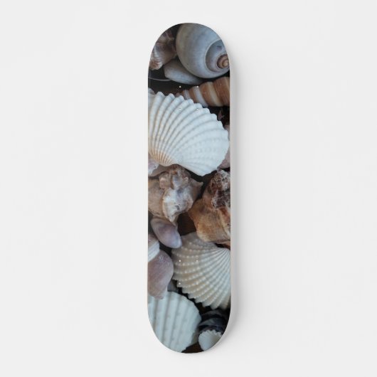 Muscheln Summer Beach Exotic Tropical Skateboard (Vorne)