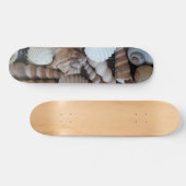 Muscheln Summer Beach Exotic Tropical Skateboard (Horizontal)