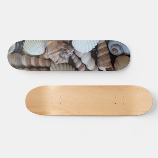 Muscheln Summer Beach Exotic Tropical Skateboard (Horizontal)