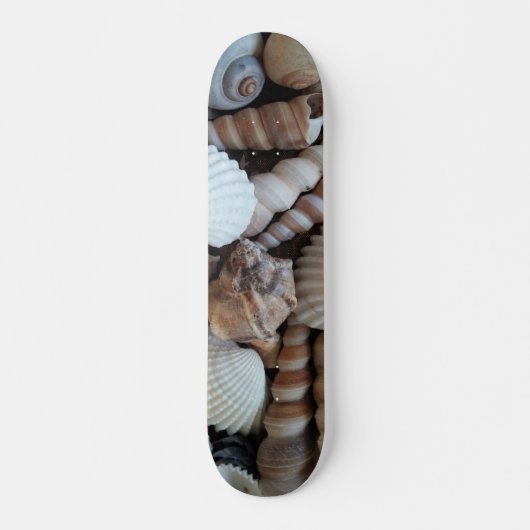 Muscheln Summer Beach Exotic Tropical Skateboard (Vorne)