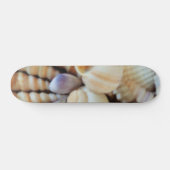 Muscheln Summer Beach Exotic Tropical Skateboard (Horizontal)