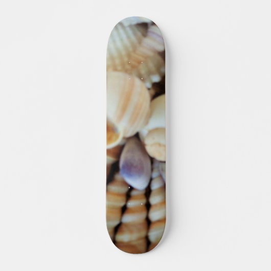 Muscheln Summer Beach Exotic Tropical Skateboard (Vorne)