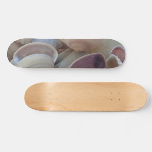 Muscheln Summer Beach Exotic Tropical Skateboard (Horizontal)