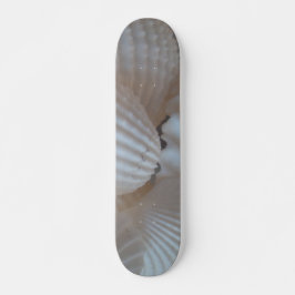 Muscheln Summer Beach Exotic Tropical Skateboard