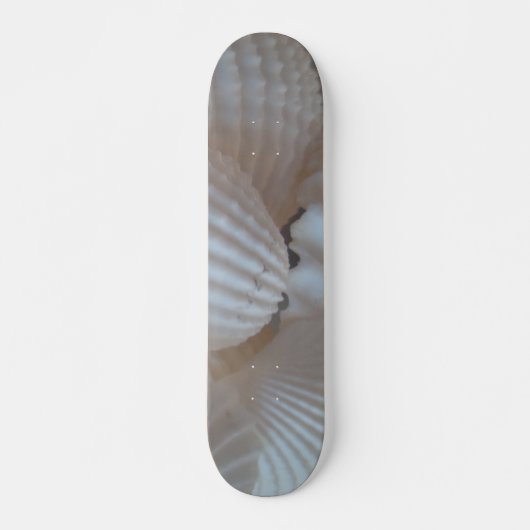 Muscheln Summer Beach Exotic Tropical Skateboard (Vorne)