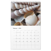 Muscheln tragen 2017 exotische tropische kalender (Feb 2026)