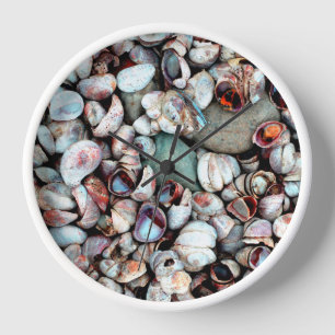 Muscheln Uhr