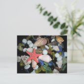Muscheln und Felsen Postkarte (Stehend Vorderseite)