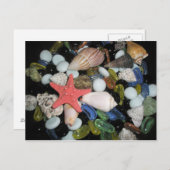 Muscheln und Felsen Postkarte (Vorne/Hinten)